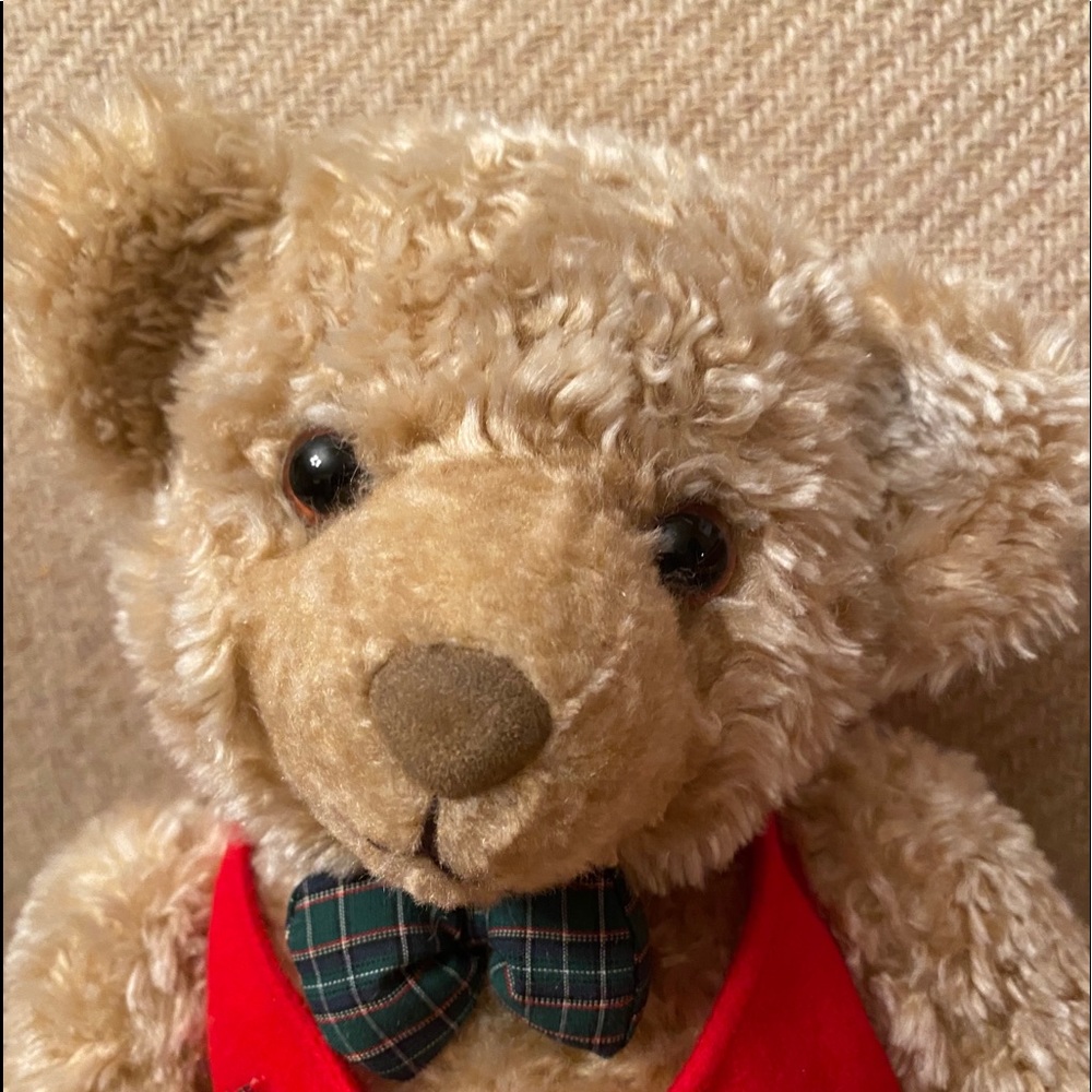 Hallmark Christmas Tyler Teddy 10" Doll MINT